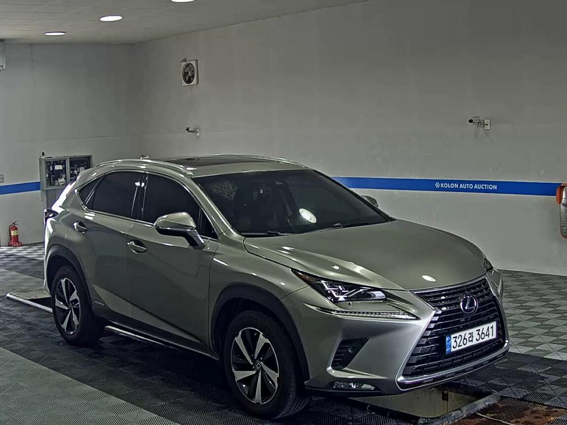 LEXUS NX 300h 2019 - zdjęcie 3