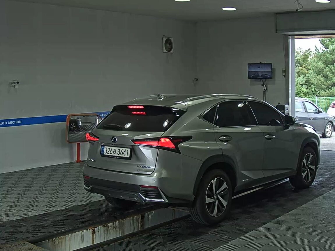 LEXUS NX 300h 2019 - zdjęcie 5