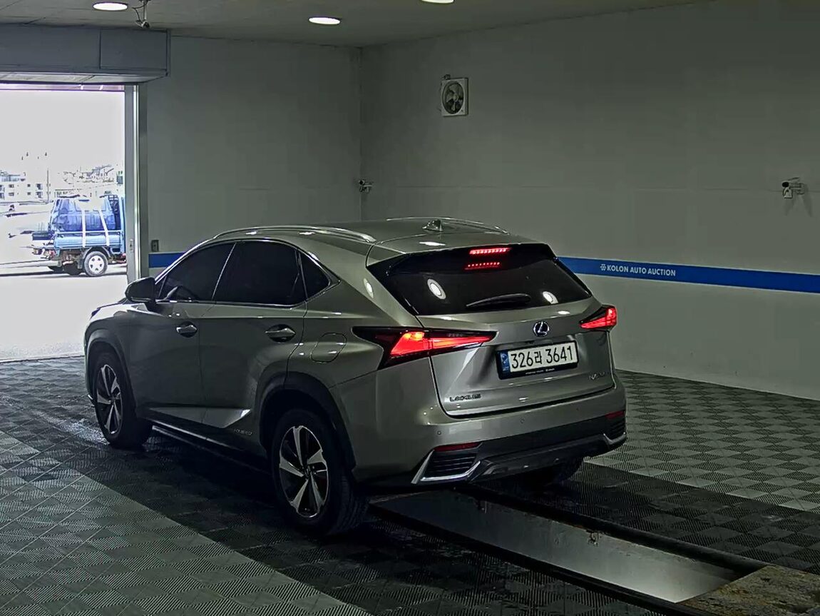 LEXUS NX 300h 2019 - zdjęcie 6