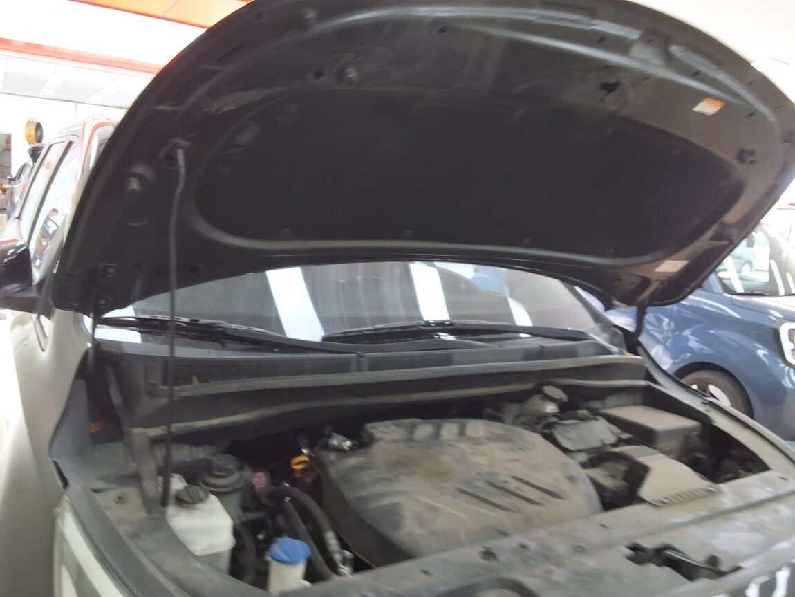 KIA THE NEW CARNIVAL 9-SEATER DIESEL LUXURY 2019 - zdjęcie 18