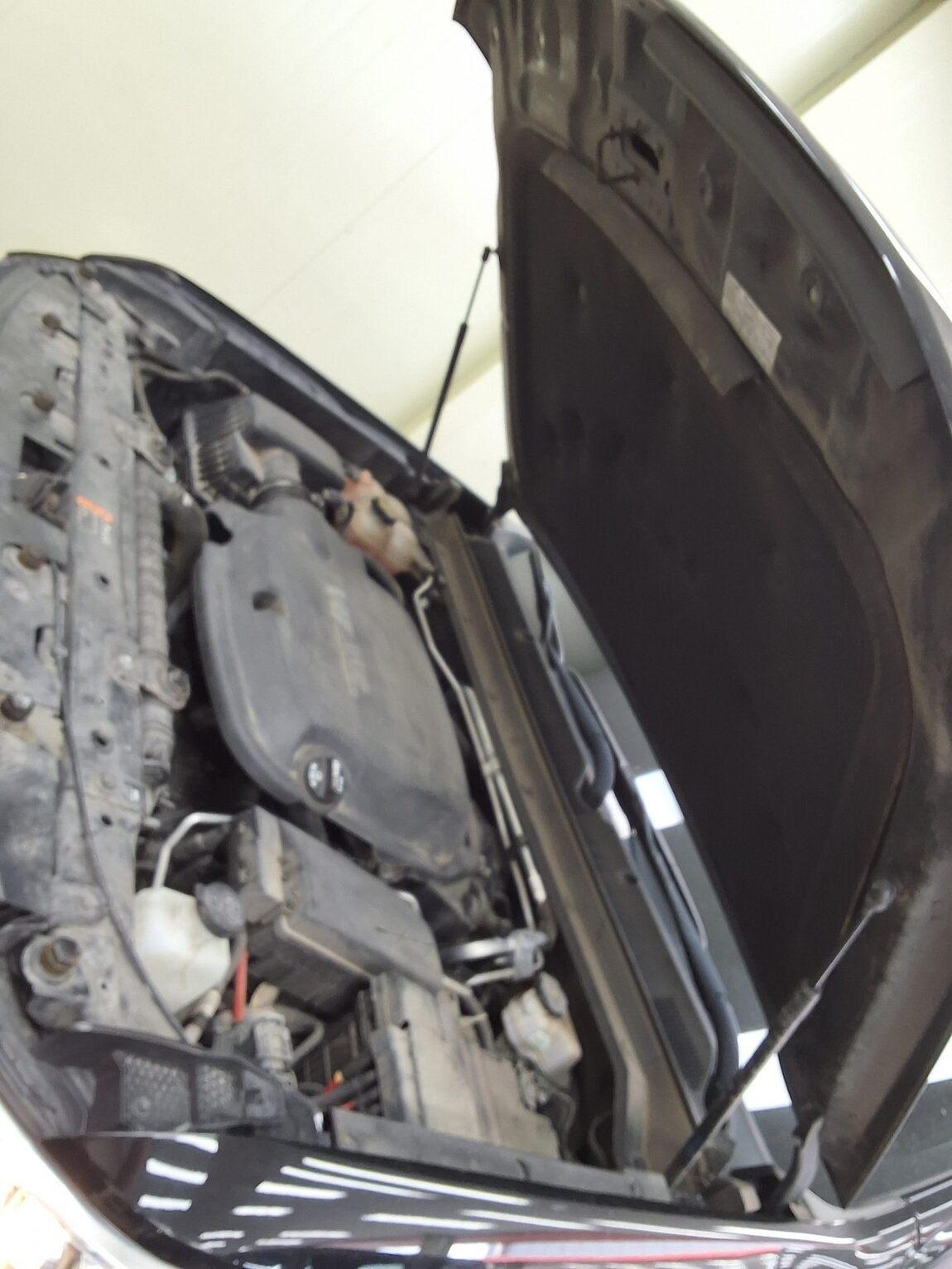 CHEVROLET (DAEWOO) COLORADO 3.6 4WD EXTREME 2020 - zdjęcie 18