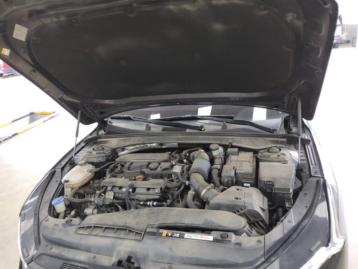 KIA NEW K5 (DL3) 1.6 GASOLINE TURBO NOBLESSE 2022 - zdjęcie 20