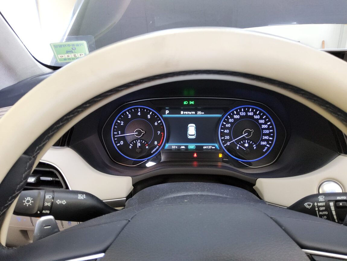 HYUNDAI PALISADE 3.8 GASOLINE AWD PRESTIGE 2019 - zdjęcie 9
