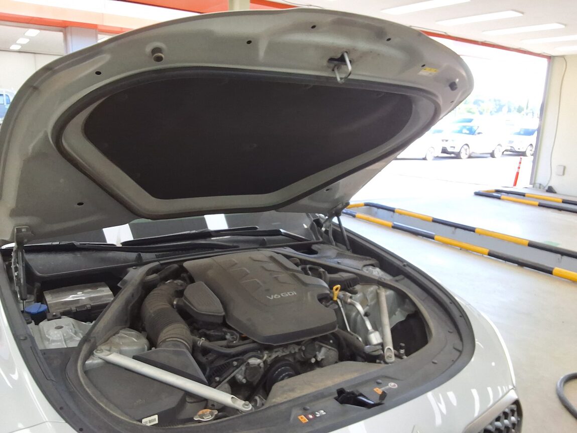 KIA THE NEW K9 (RJ) 3.8 GASOLINE AWD PLATINUM BEST SELECTION I 2022 - zdjęcie 18