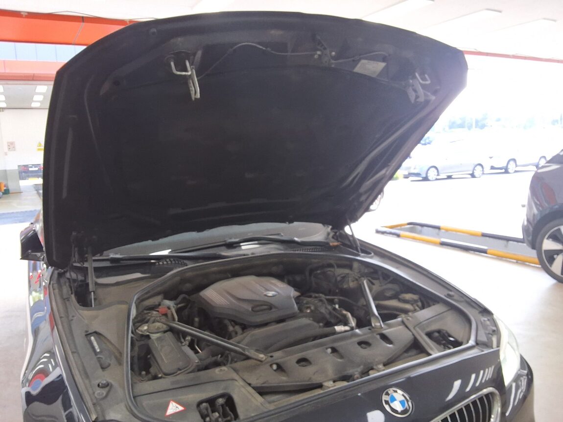 BMW 5 SERIES (6TH GEN) 520d xDRIVE M AERODYNAMIC 2016 - zdjęcie 18