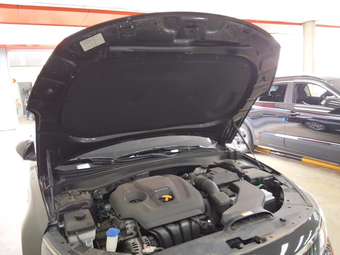 KIA NEW NEW K5 2.0 GASOLINE NOBLESSE 2020 - zdjęcie 18