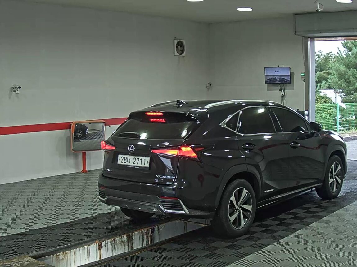 LEXUS NX 300h 2019 - zdjęcie 5