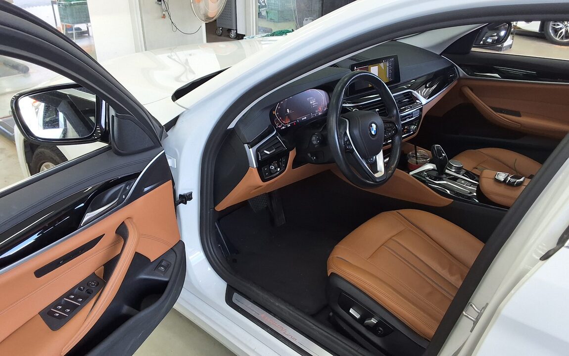 BMW 5 SERIES (7TH GEN) 520i LUXURY 2020 - zdjęcie 10