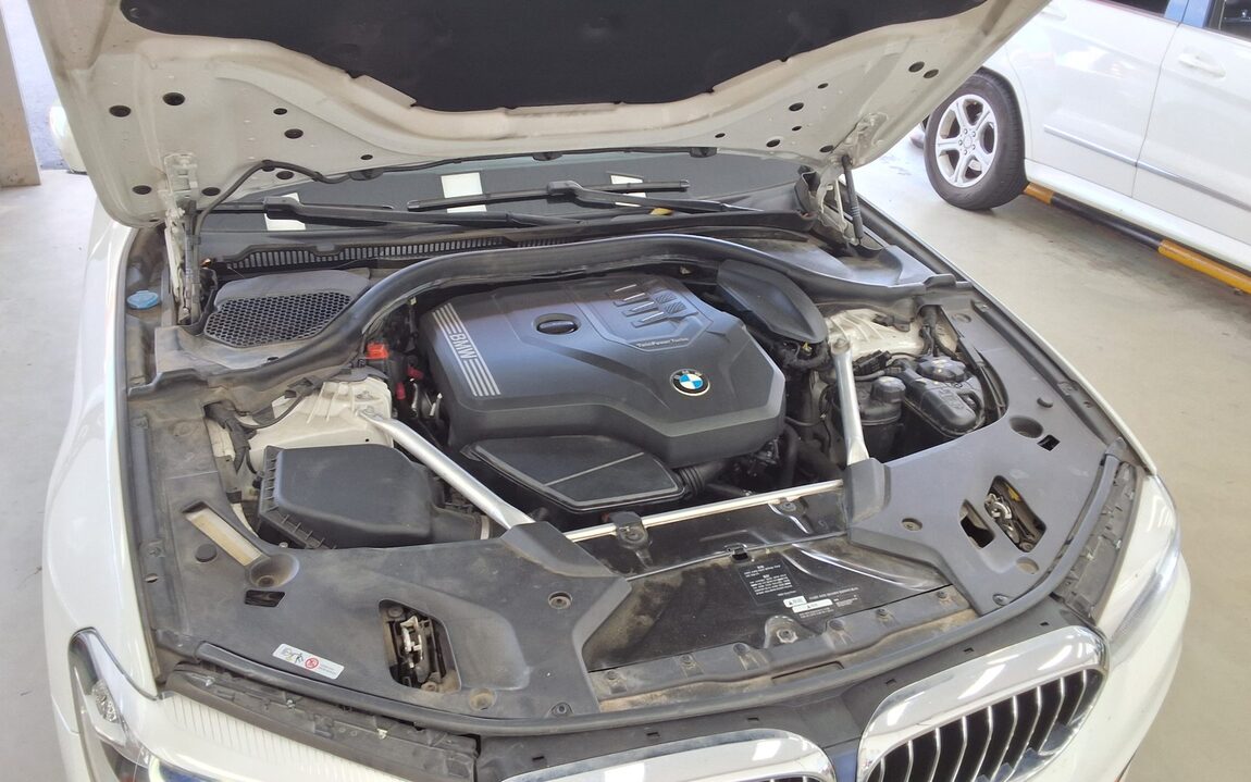 BMW 5 SERIES (7TH GEN) 520i LUXURY 2020 - zdjęcie 23