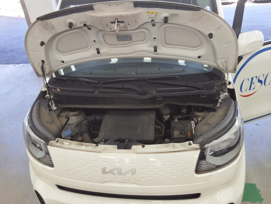 KIA THE NEW RAY VAN STANDARD 2022 - zdjęcie 19