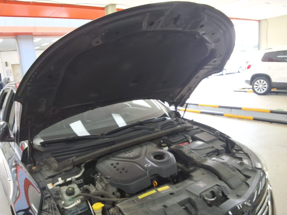 RENAULT (SAMSUNG) SM6 2.0 GDe SE 2016 - zdjęcie 18