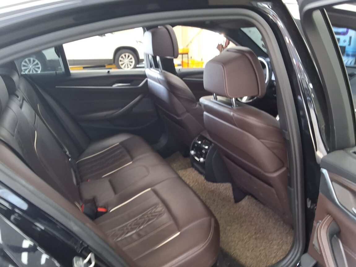 BMW 5 SERIES (7TH GEN) 520d M SPORT PACK PLUS 2020 - zdjęcie 14