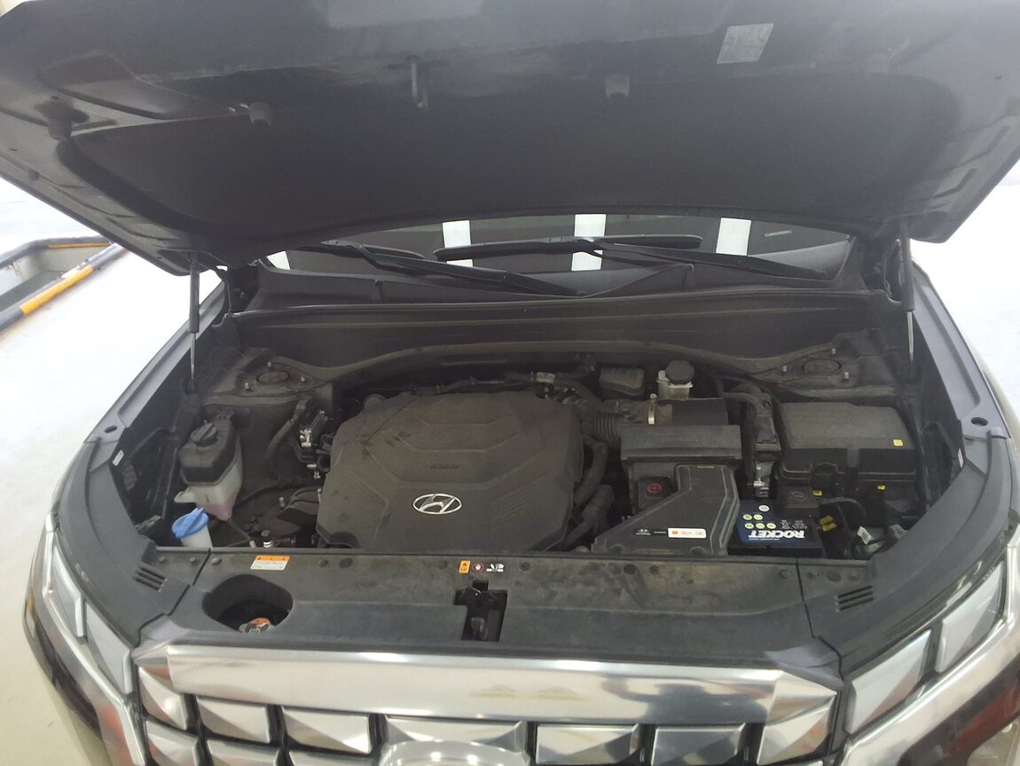 HYUNDAI THE NEW PALISADE 3.8 GASOLINE AWD CALLIGRAPHY 2024 - zdjęcie 21