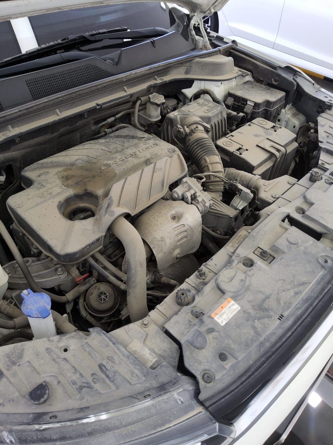 KG MOBILITY (SSANGYONG) ALL NEW KORANDO 1.6 DIESEL AWD C5 PLUS 2022 - zdjęcie 22