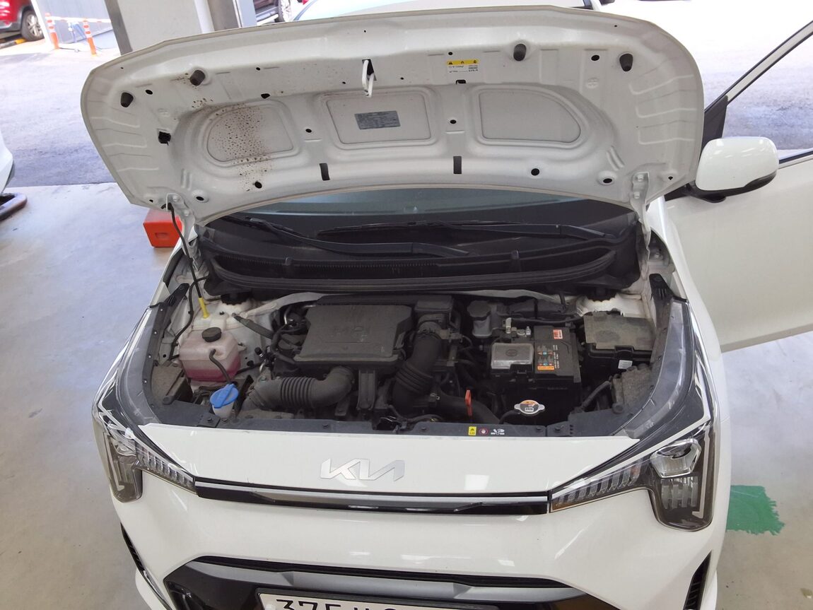 KIA THE NEW MORNING (JA) 1.0 GASOLINE PRESTIGE 2025 - zdjęcie 18