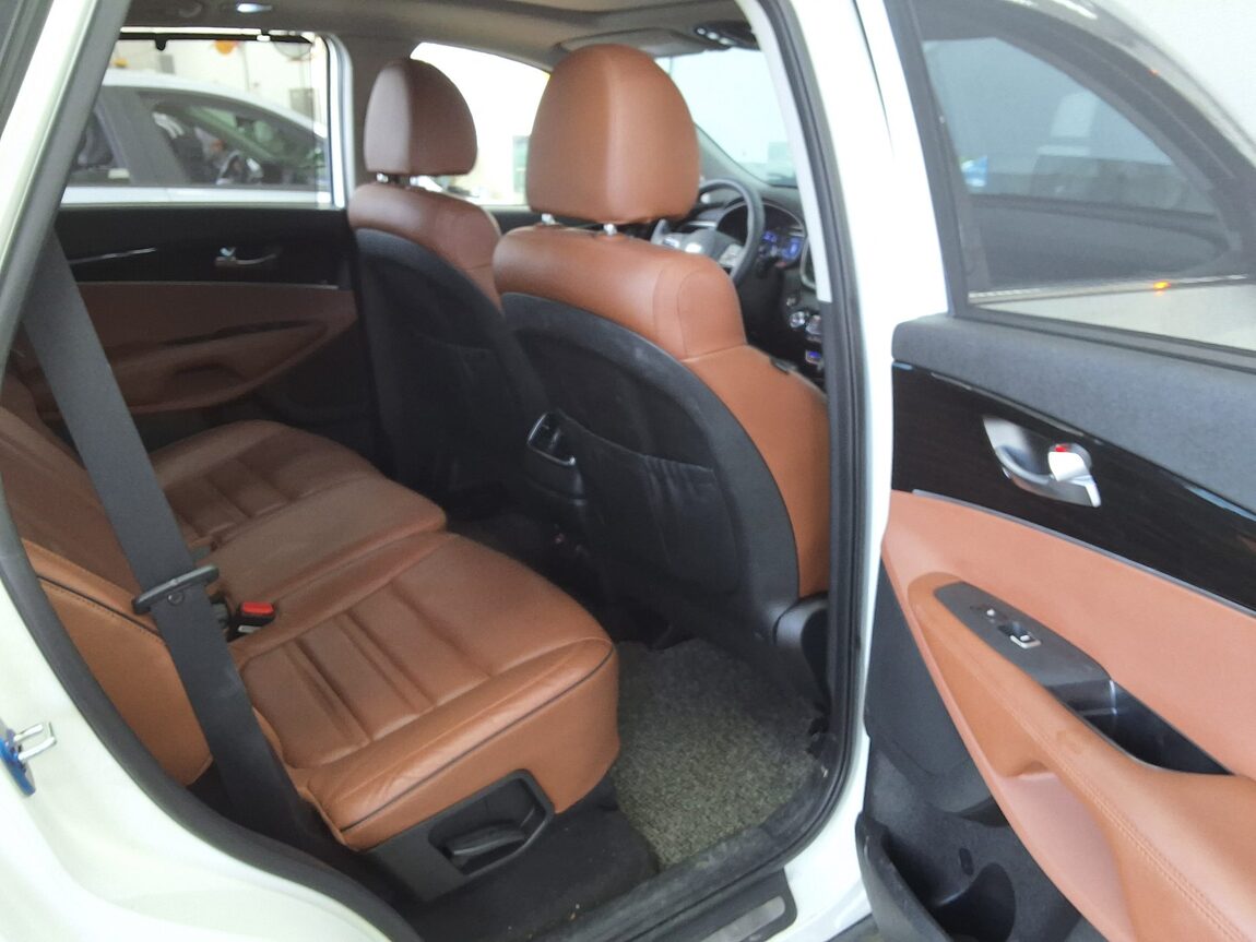 KIA THE NEW SORENTO DIESEL R2.2 2WD NOBLESSE SPECIAL 2018 - zdjęcie 13