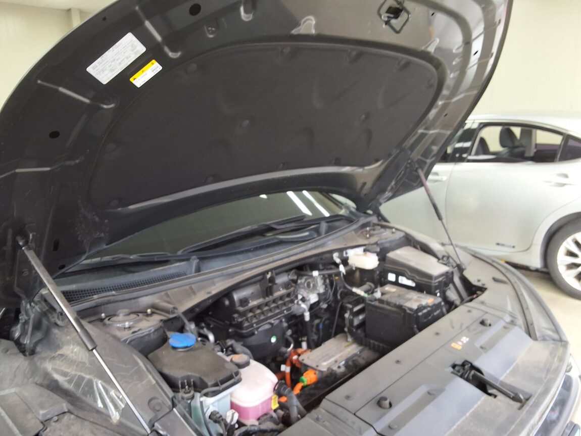 KIA EV6 STANDARD 2WD LITE 2024 - zdjęcie 18