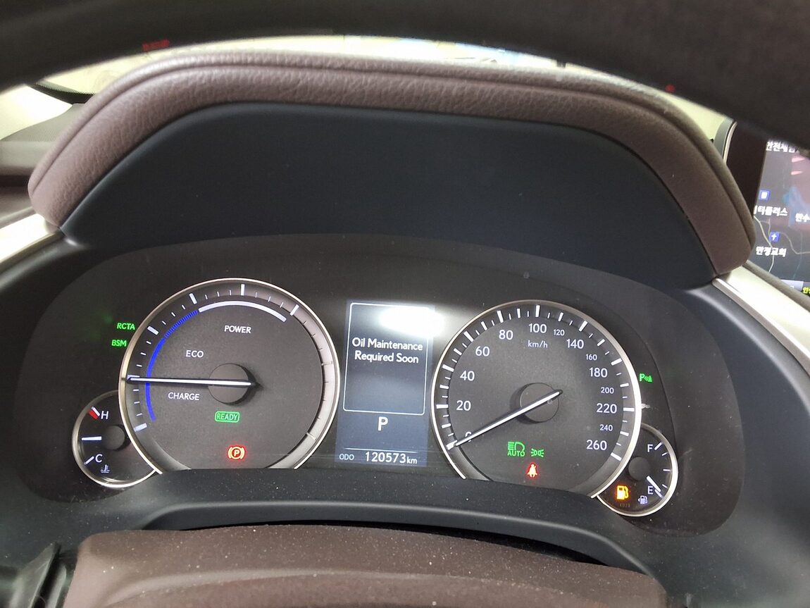 LEXUS RX (4TH GEN) 450h SUPREME 2019 - zdjęcie 10