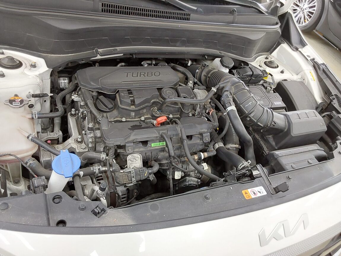 KIA THE NEW SELTOS 1.6 GASOLINE TURBO 2WD TRENDY 2025 - zdjęcie 18