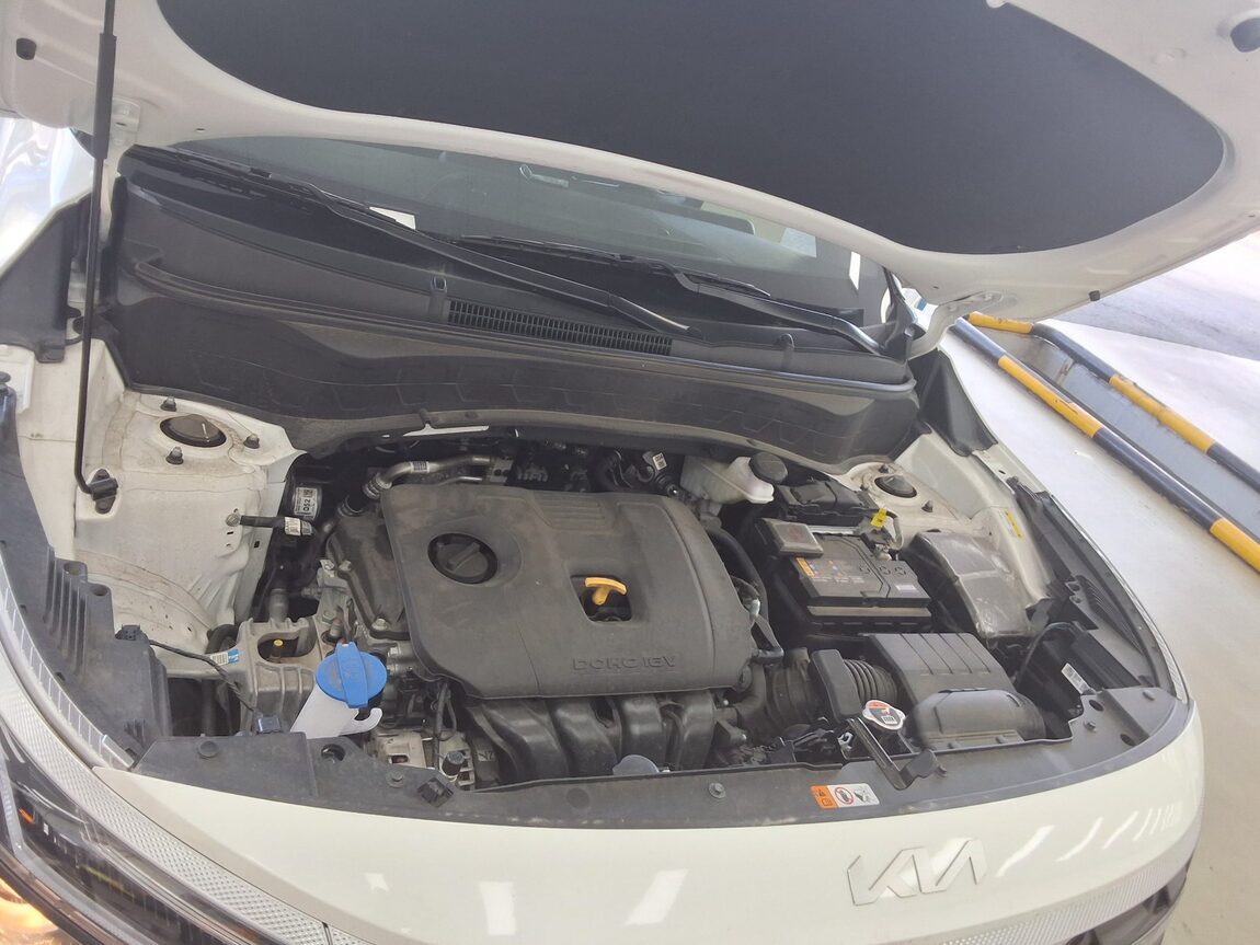 KIA THE NEW SELTOS 2.0 GASOLINE 2WD TRENDY 2025 - zdjęcie 21