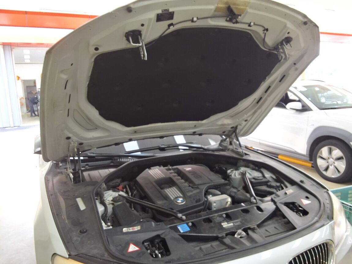 BMW 7 SERIES (5TH GEN) 740Li 2010 - zdjęcie 18