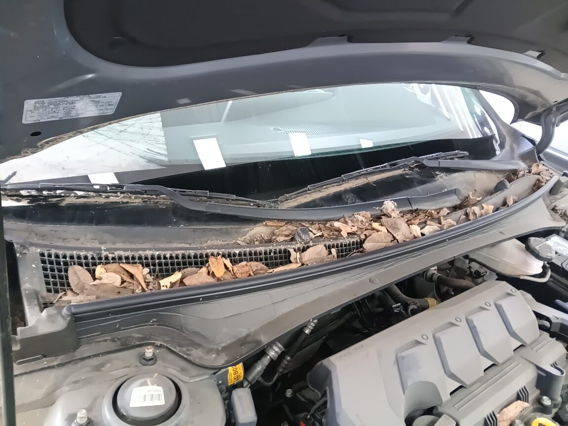 HYUNDAI AVANTE (CN7) 1.6 GASOLINE SMART 2023 - zdjęcie 26