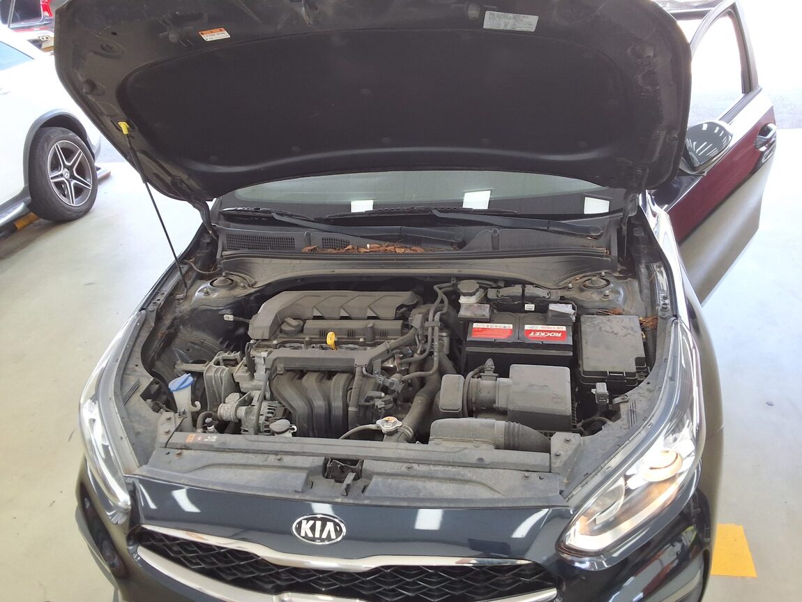 KIA ALL NEW K3 1.6 GASOLINE LUXURY 2019 - zdjęcie 19