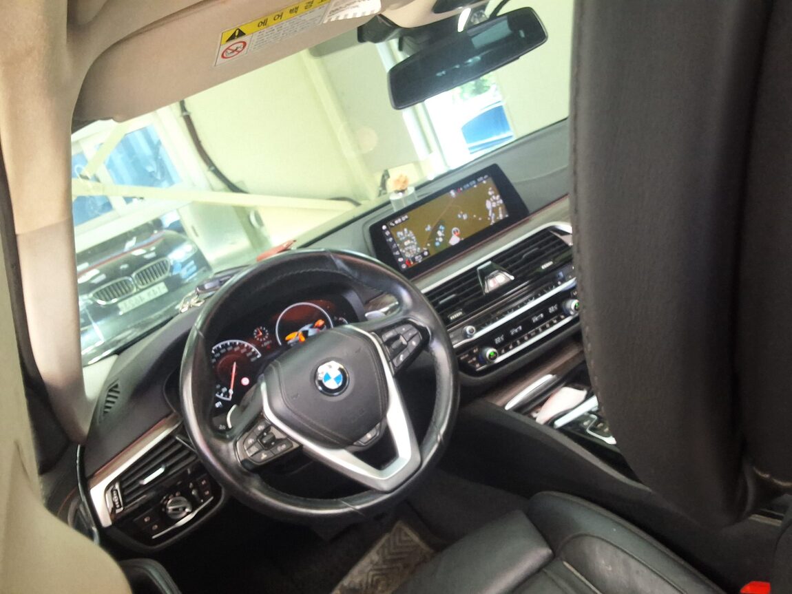 BMW 5 SERIES (7TH GEN) 530i LUXURY LINE PLUS 2019 - zdjęcie 12