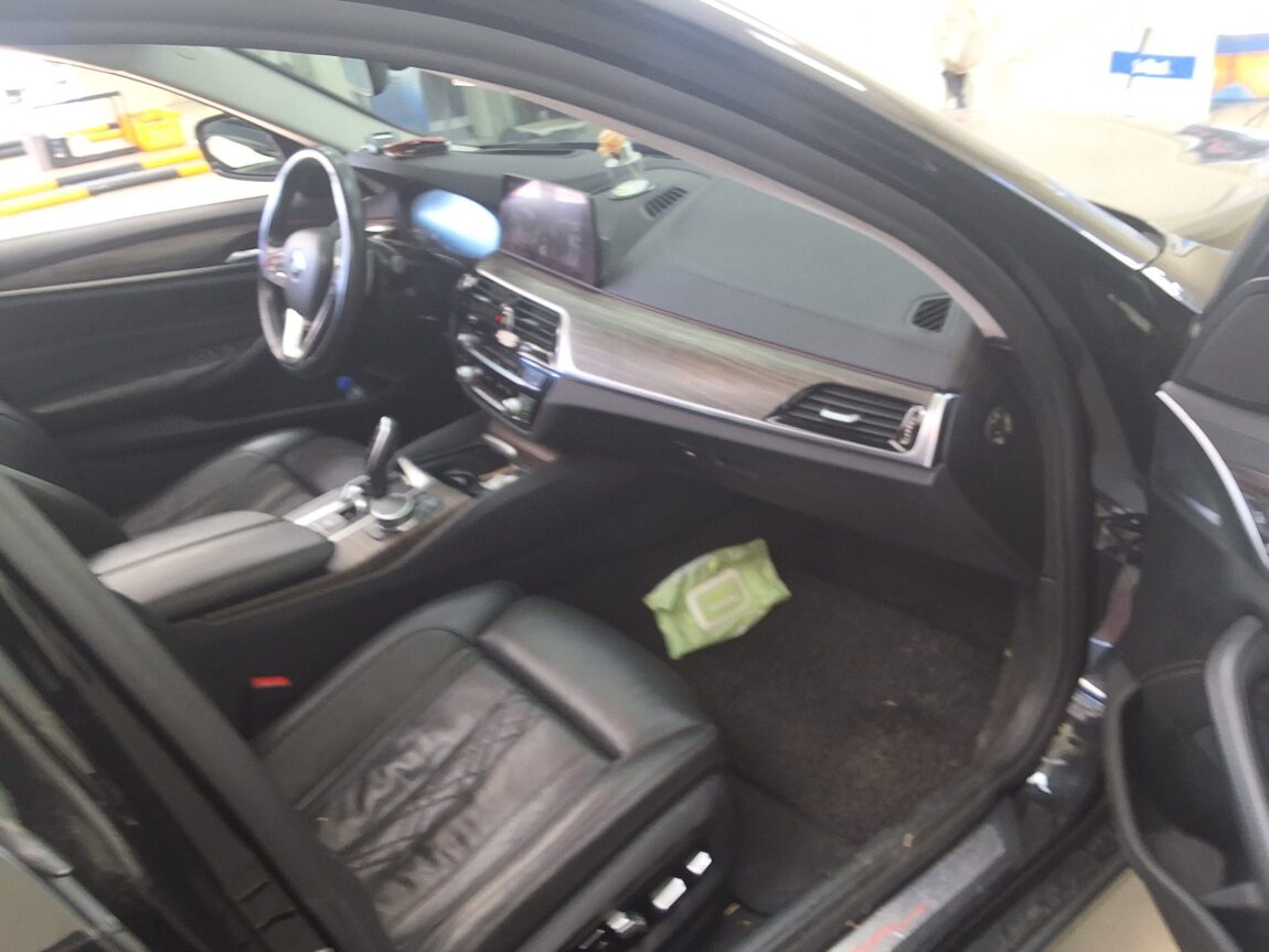 BMW 5 SERIES (7TH GEN) 530i LUXURY LINE PLUS 2019 - zdjęcie 15