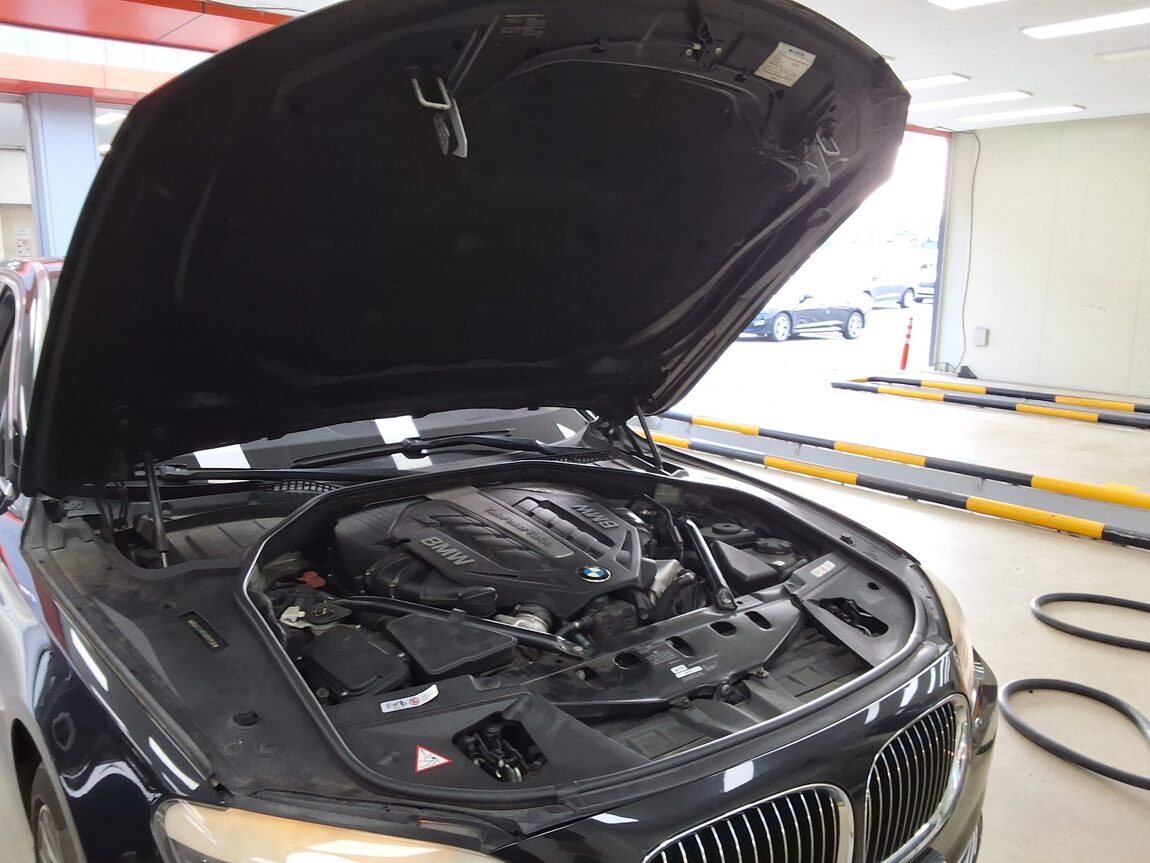 BMW 7 SERIES (5TH GEN) 750Li xDRIVE 2012 - zdjęcie 18