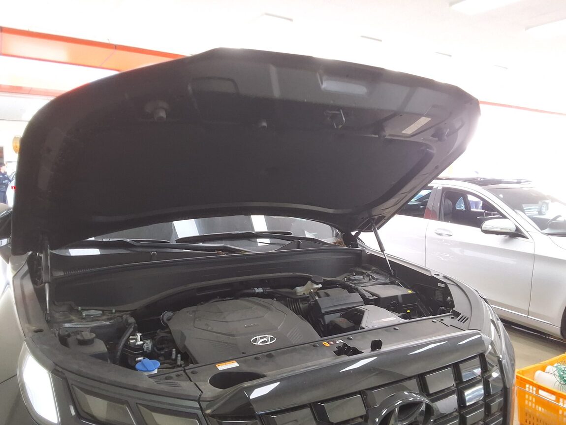 HYUNDAI THE NEW PALISADE 3.8 GASOLINE 2WD LE BLANC 2024 - zdjęcie 18