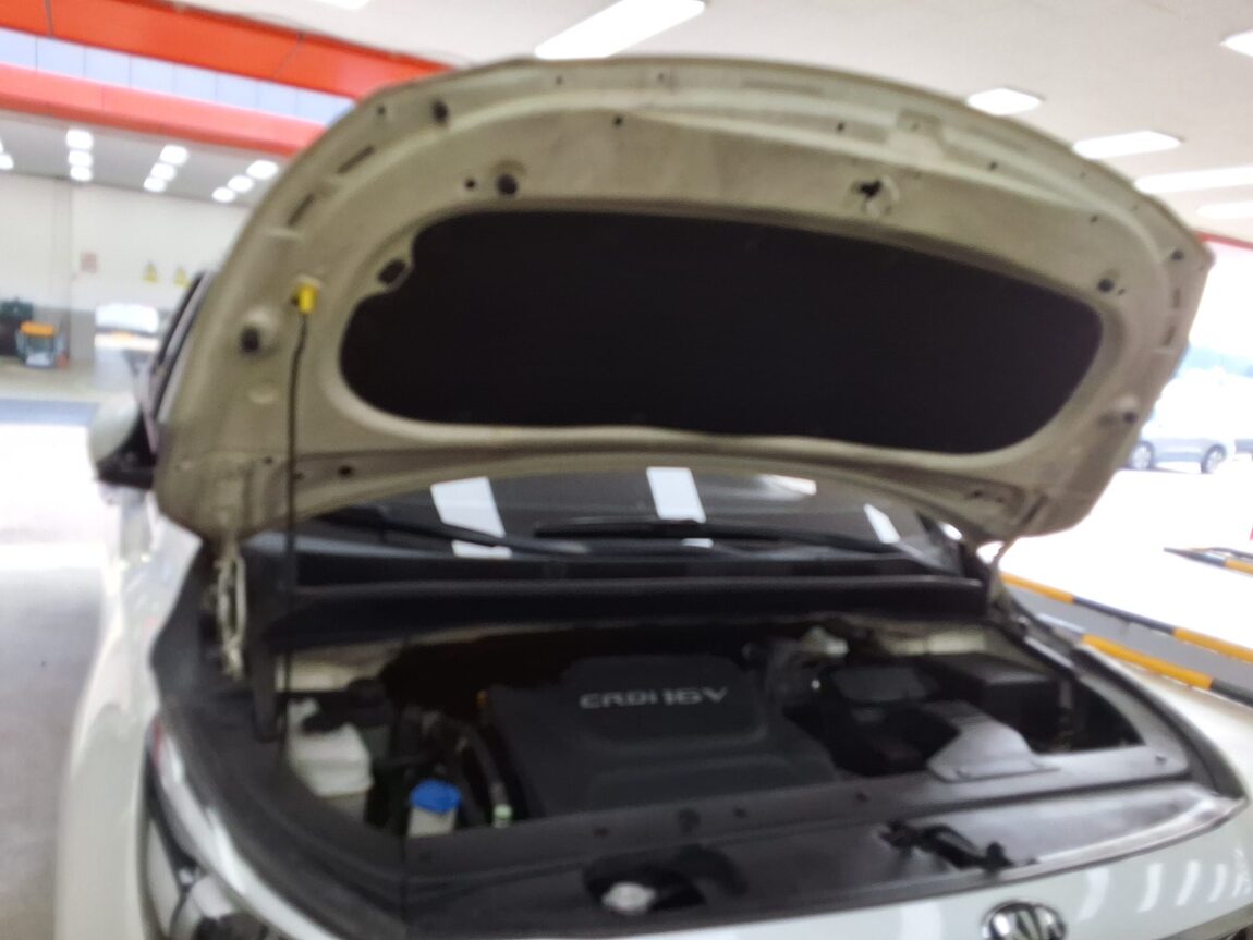 KIA ALL NEW CARNIVAL 9-SEATER DIESEL PRESTIGE 2016 - zdjęcie 18