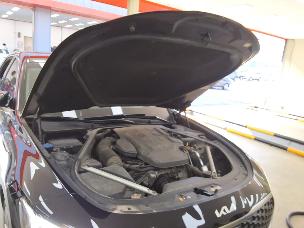 KIA THE NEW K9 (RJ) 3.8 GASOLINE AWD PLATINUM BEST SELECTION I 2022 - zdjęcie 18