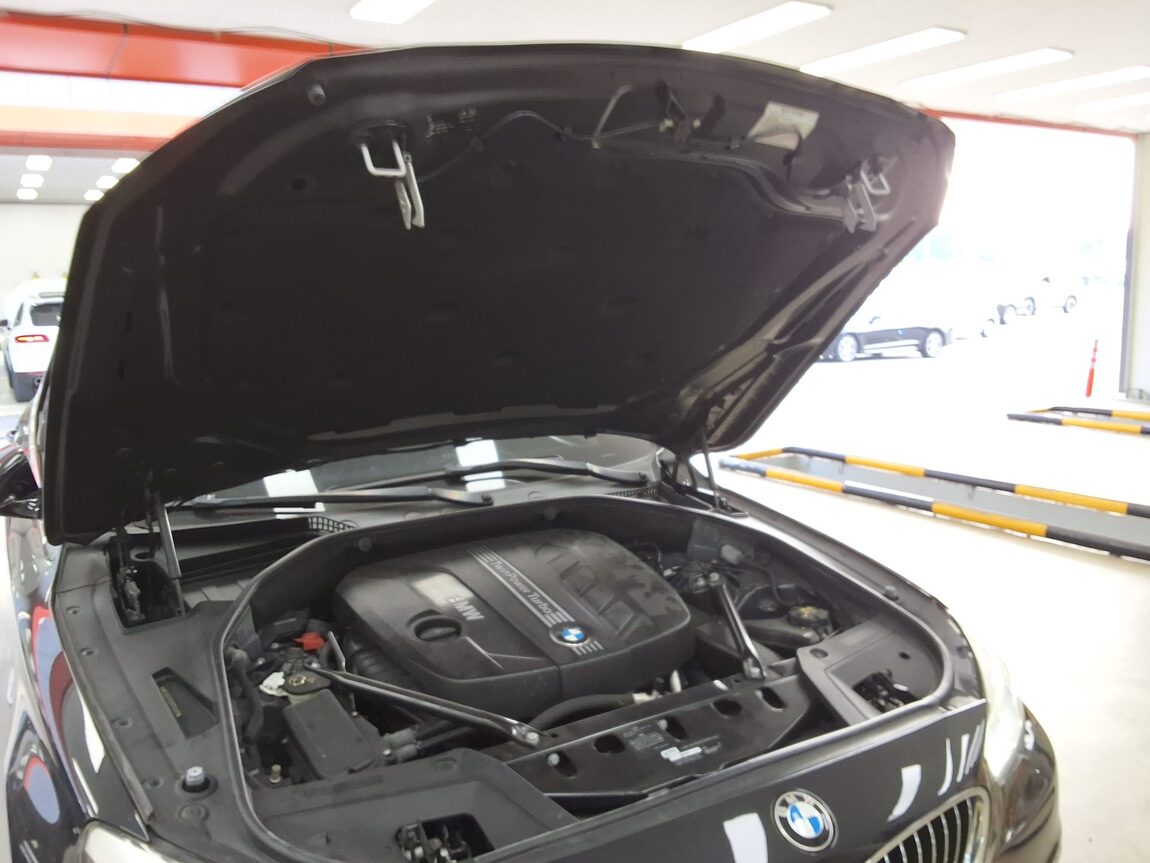 BMW GRAN TURISMO (GT) 5 SERIES GT 20d ED EDITION LUXURY 2017 - zdjęcie 18