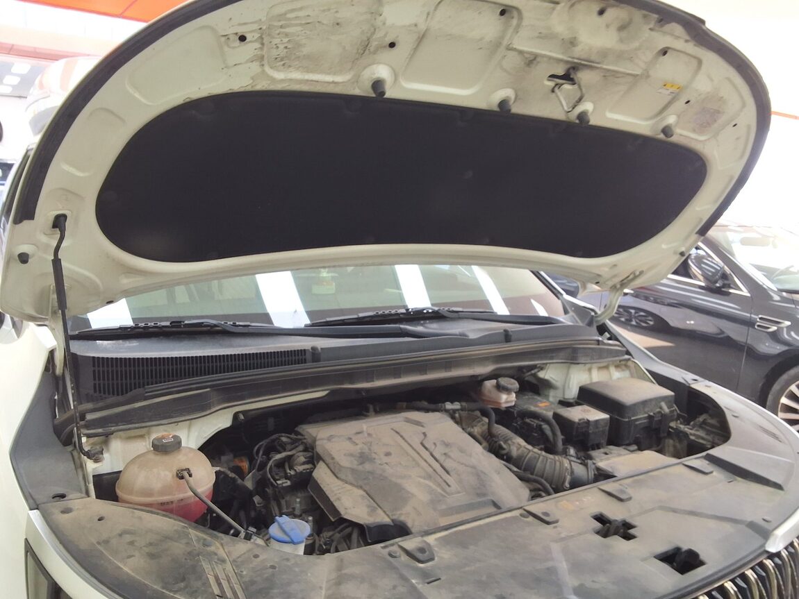 KIA NEW CARNIVAL (KA4) HI-LIMOUSINE SPECIAL BODY STD 2021 - zdjęcie 18