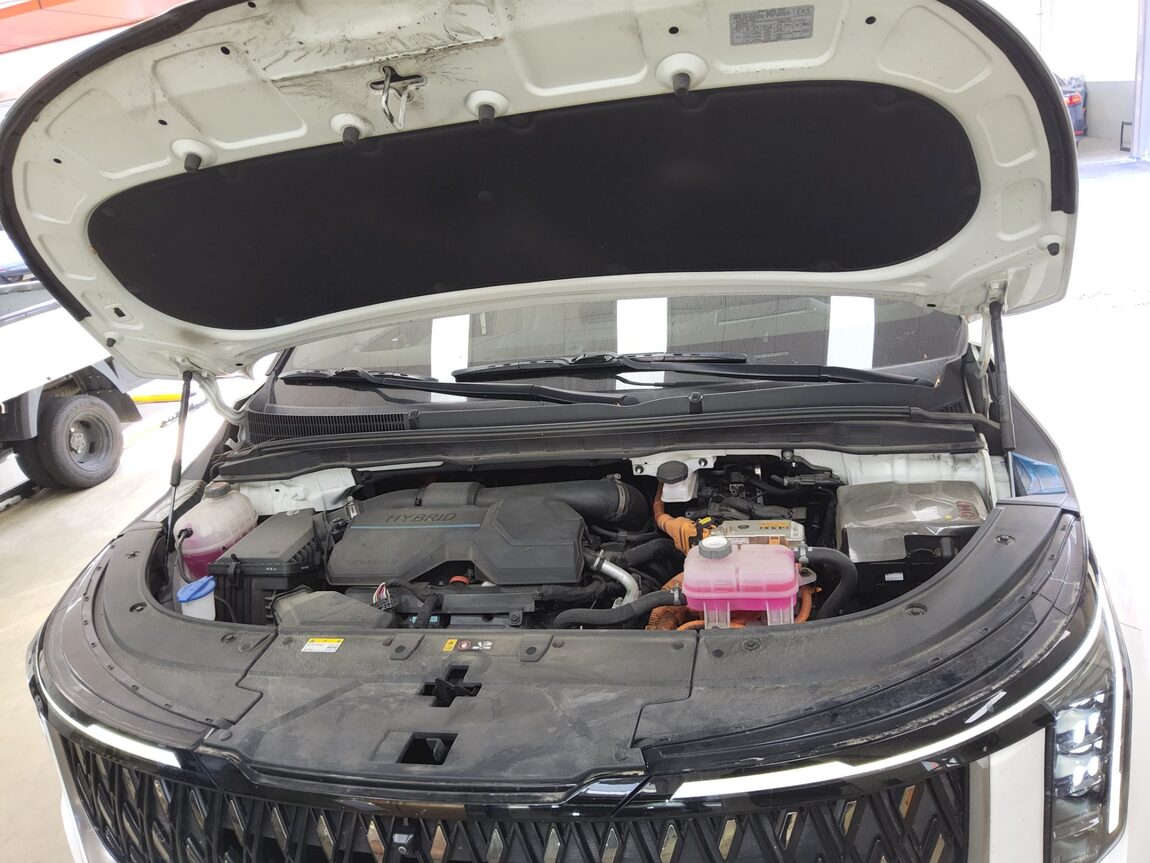 KIA THE NEW CARNIVAL HYBRID (KA4) 1.6 HEV HI-LIMOUSINE 9-SEATER SIGNATURE 2024 - zdjęcie 21