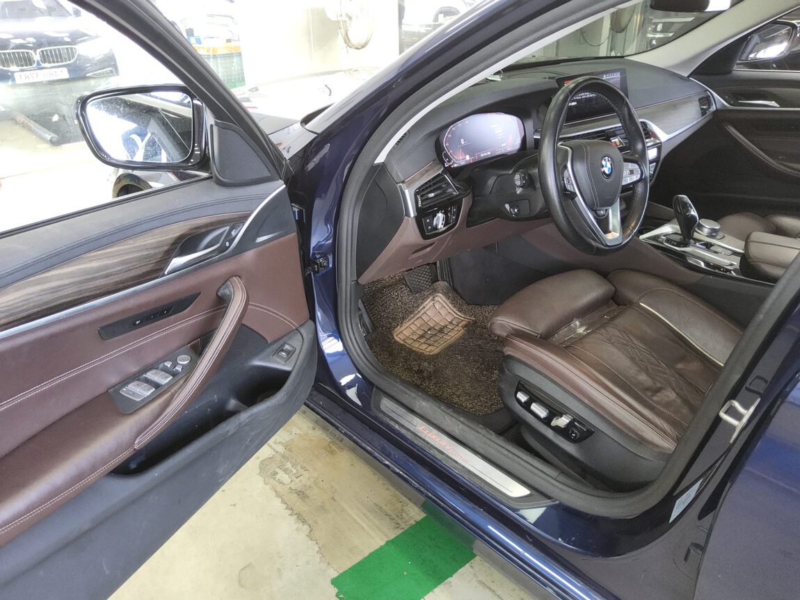 BMW 5 SERIES (7TH GEN) 520d LUXURY LINE PLUS 2020 - zdjęcie 10