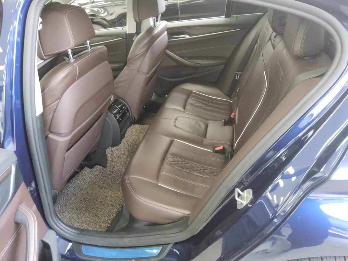 BMW 5 SERIES (7TH GEN) 520d LUXURY LINE PLUS 2020 - zdjęcie 12