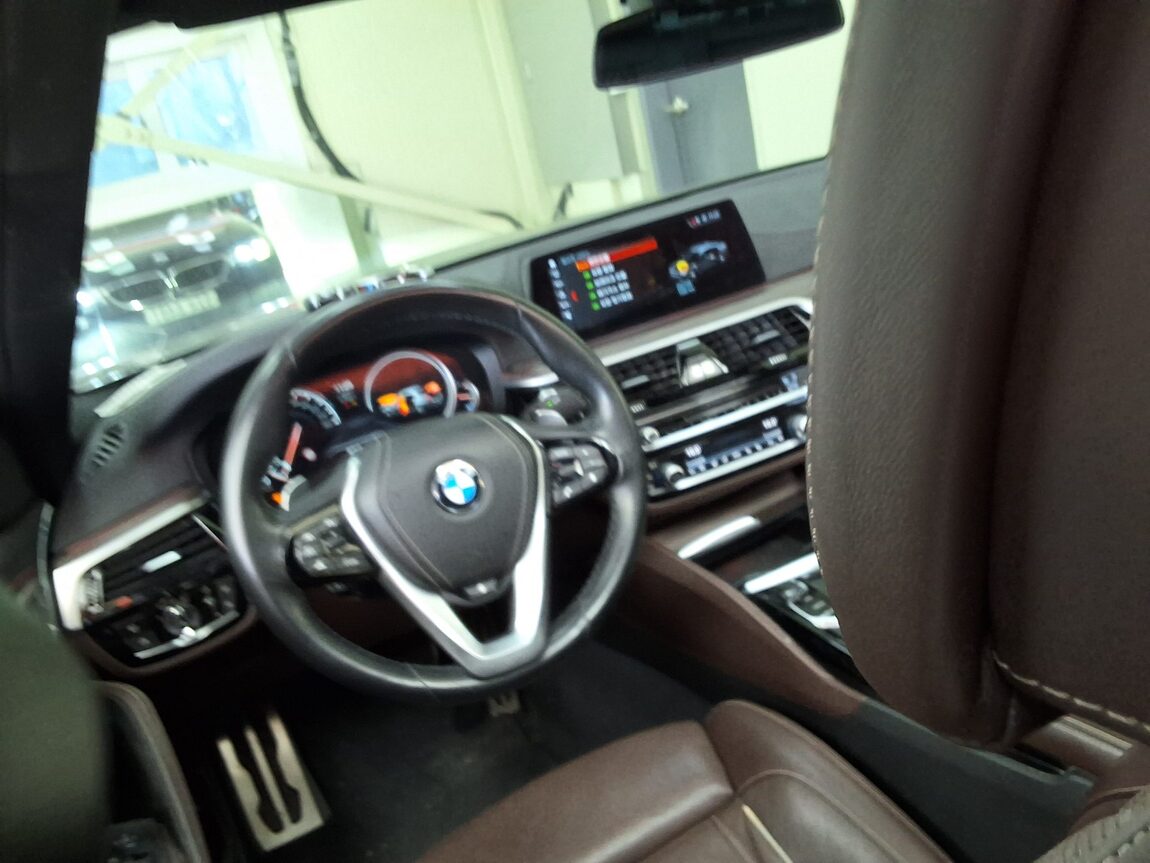 BMW 5 SERIES (7TH GEN) 530i xDRIVE M SPORT PACK PLUS 2018 - zdjęcie 12