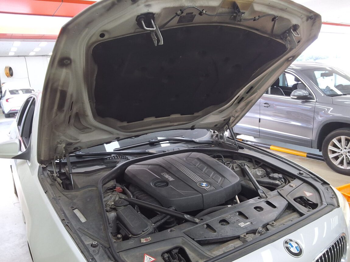 BMW 5 SERIES (6TH GEN) 520d 2010 - zdjęcie 18