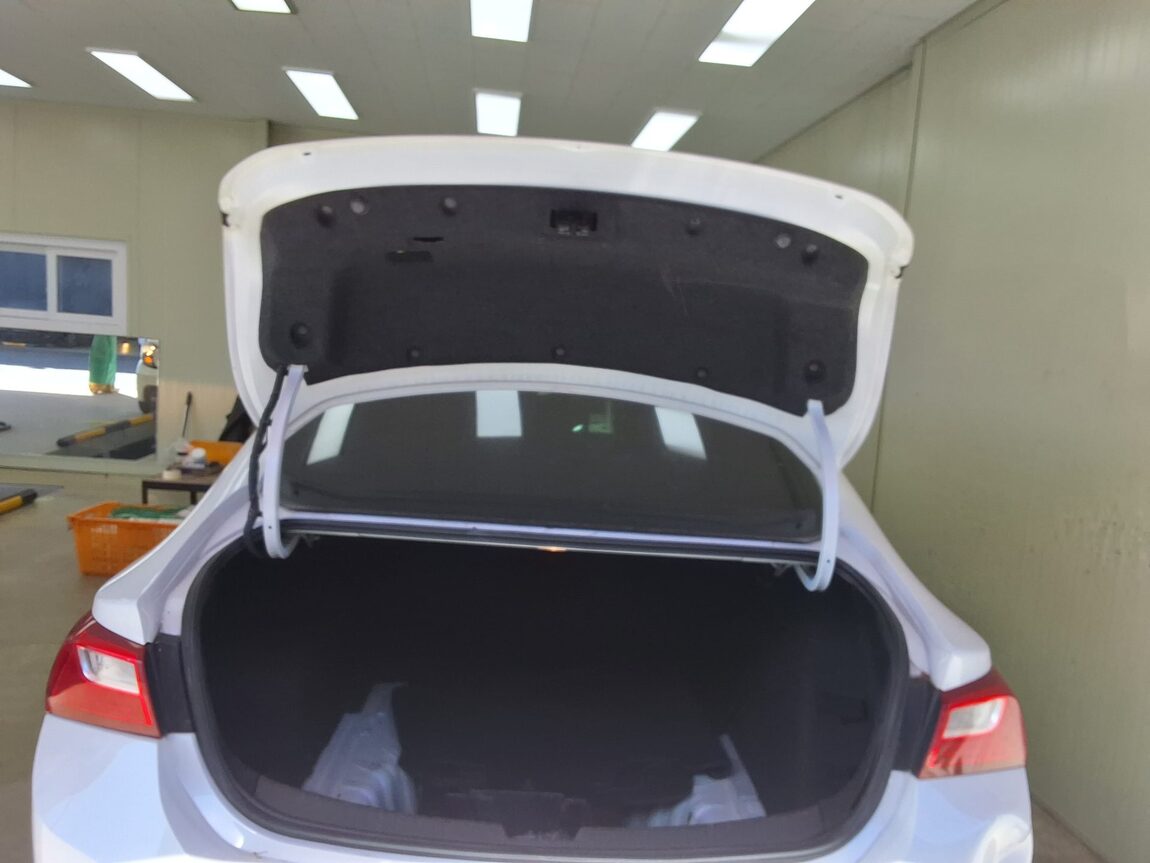 CHEVROLET (DAEWOO) THE NEW MALIBU 1.35 GASOLINE LS DELUXE 2019 - zdjęcie 16