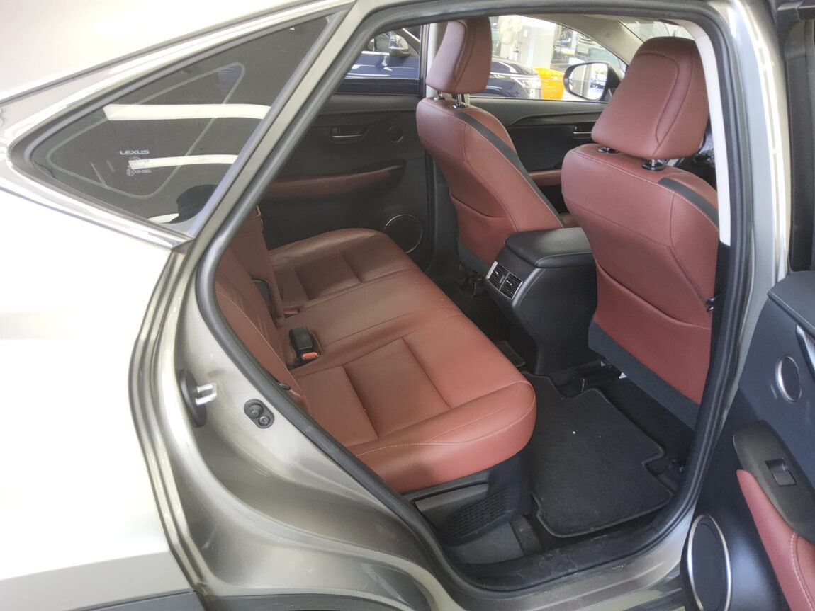LEXUS NX 300h 2017 - zdjęcie 13