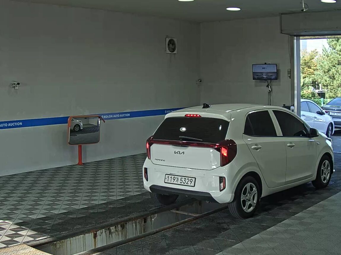 KIA THE NEW MORNING (JA) 1.0 GASOLINE TRENDY 2024 - zdjęcie 5