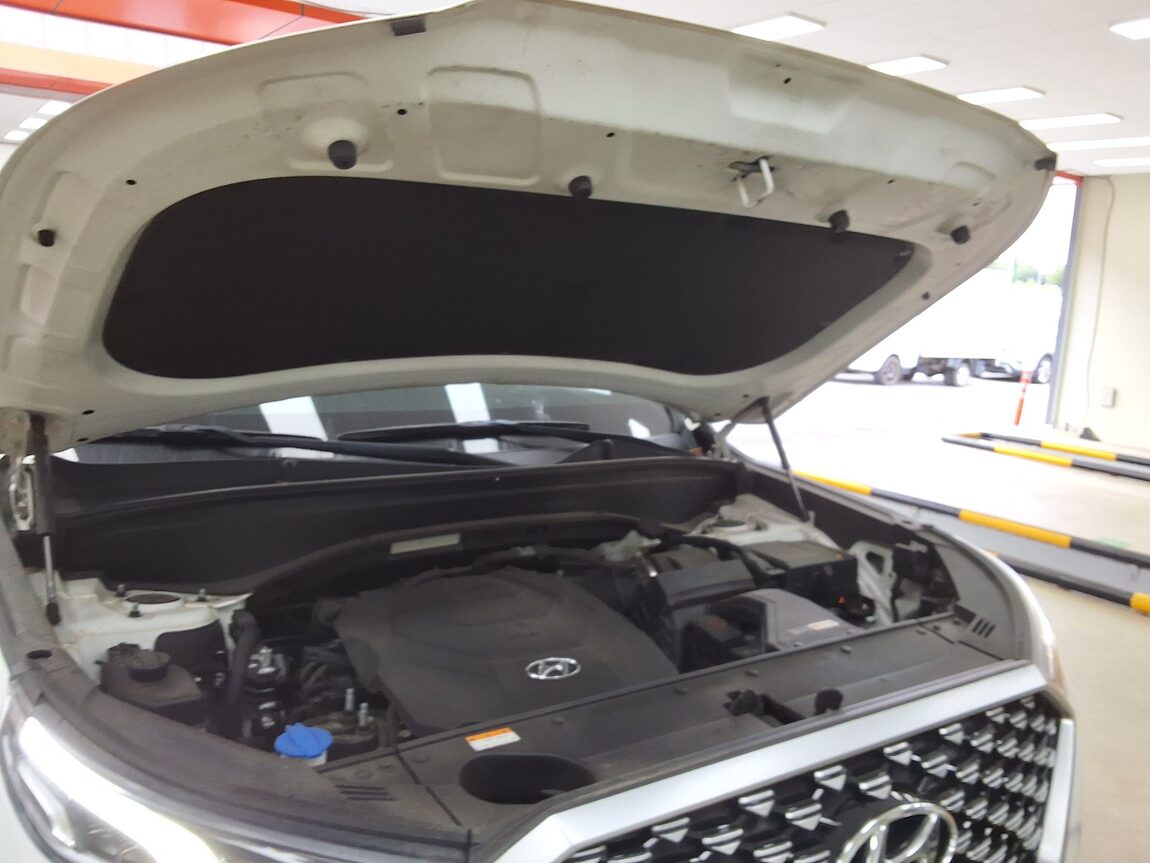 HYUNDAI PALISADE 3.8 GASOLINE CALLIGRAPHY 2021 - zdjęcie 18