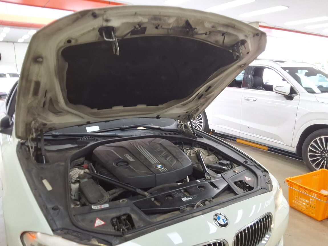 BMW 5 SERIES (6TH GEN) 520d 2012 - zdjęcie 18