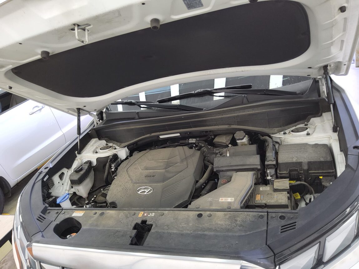 HYUNDAI THE NEW PALISADE 3.8 GASOLINE 2WD CALLIGRAPHY 2023 - zdjęcie 20