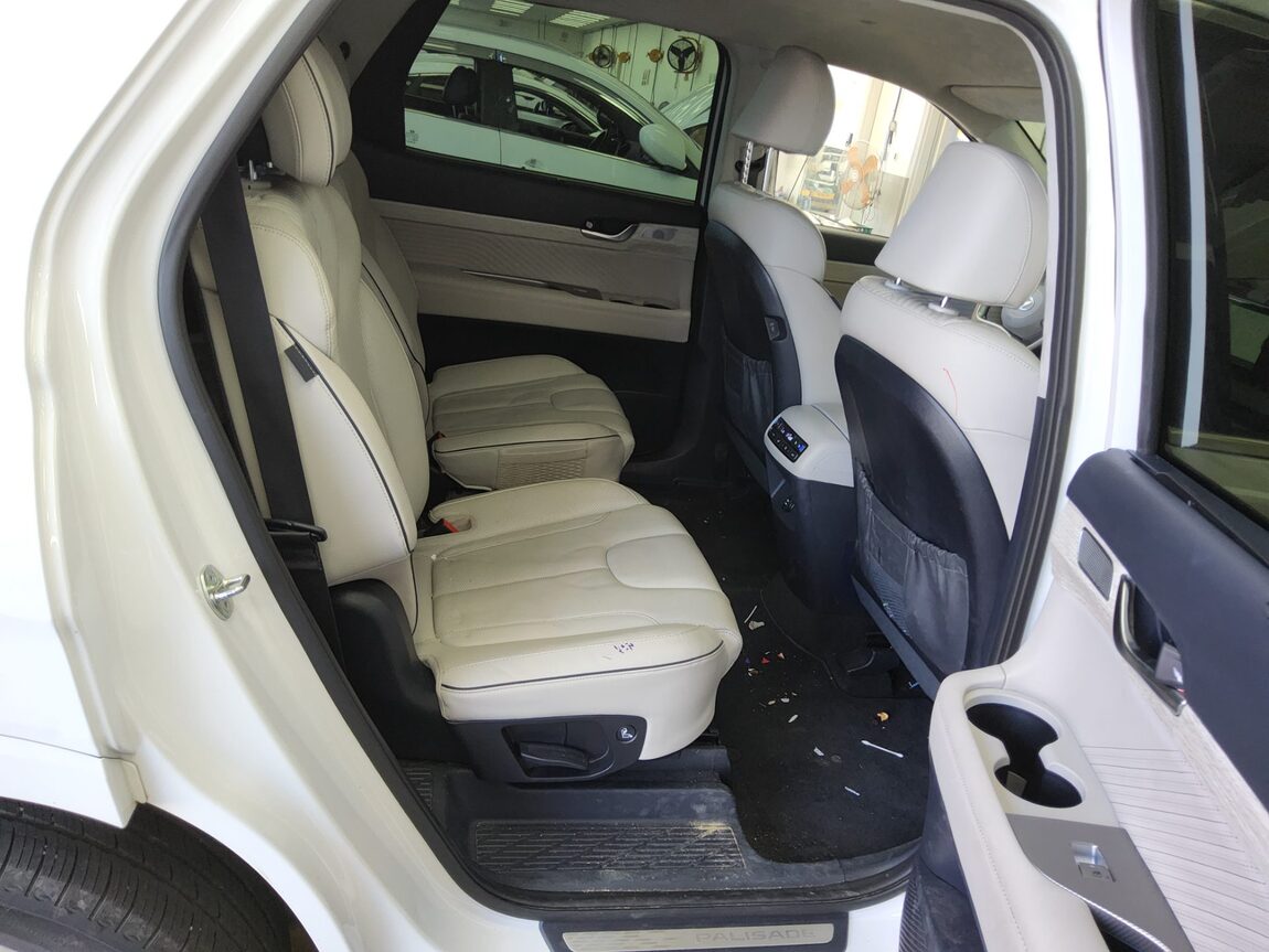 HYUNDAI THE NEW PALISADE 3.8 GASOLINE 2WD CALLIGRAPHY 2023 - zdjęcie 13