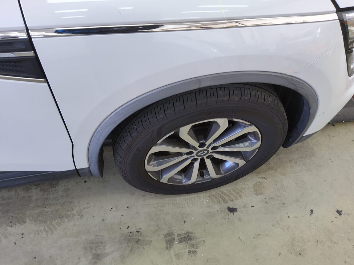 RENAULT (SAMSUNG) THE NEW QM6 2.0 LPe RE 2020 - zdjęcie 22