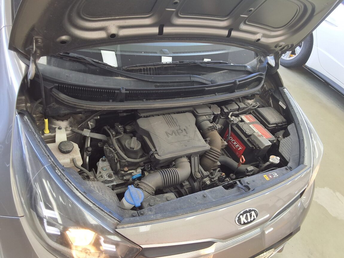 KIA MORNING URBAN 1.0 GASOLINE STANDARD 2021 - zdjęcie 18