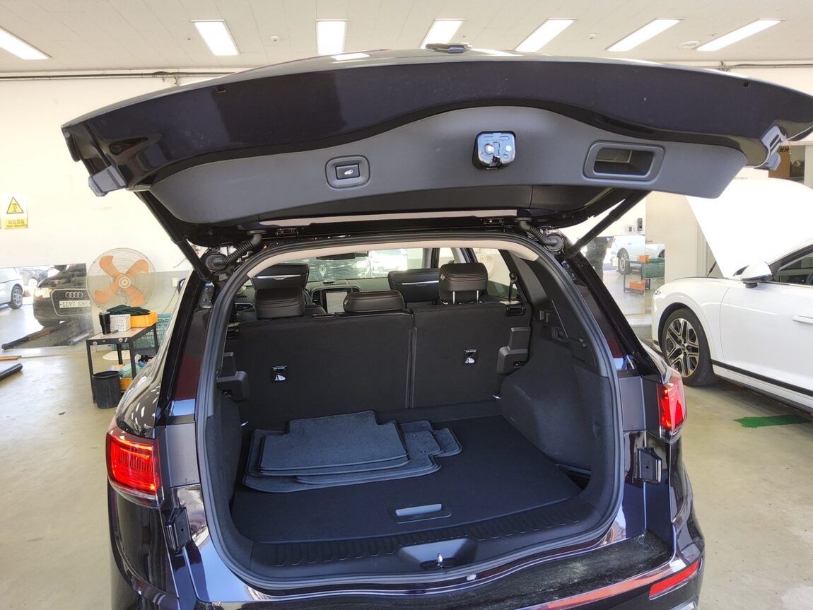 RENAULT (SAMSUNG) NEW QM6 2.0 GDe PREMIERE 2024 - zdjęcie 16